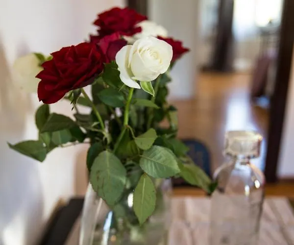 Bed and breakfast Casa Fefe'